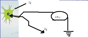 images.webp