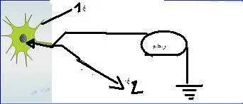 images.webp