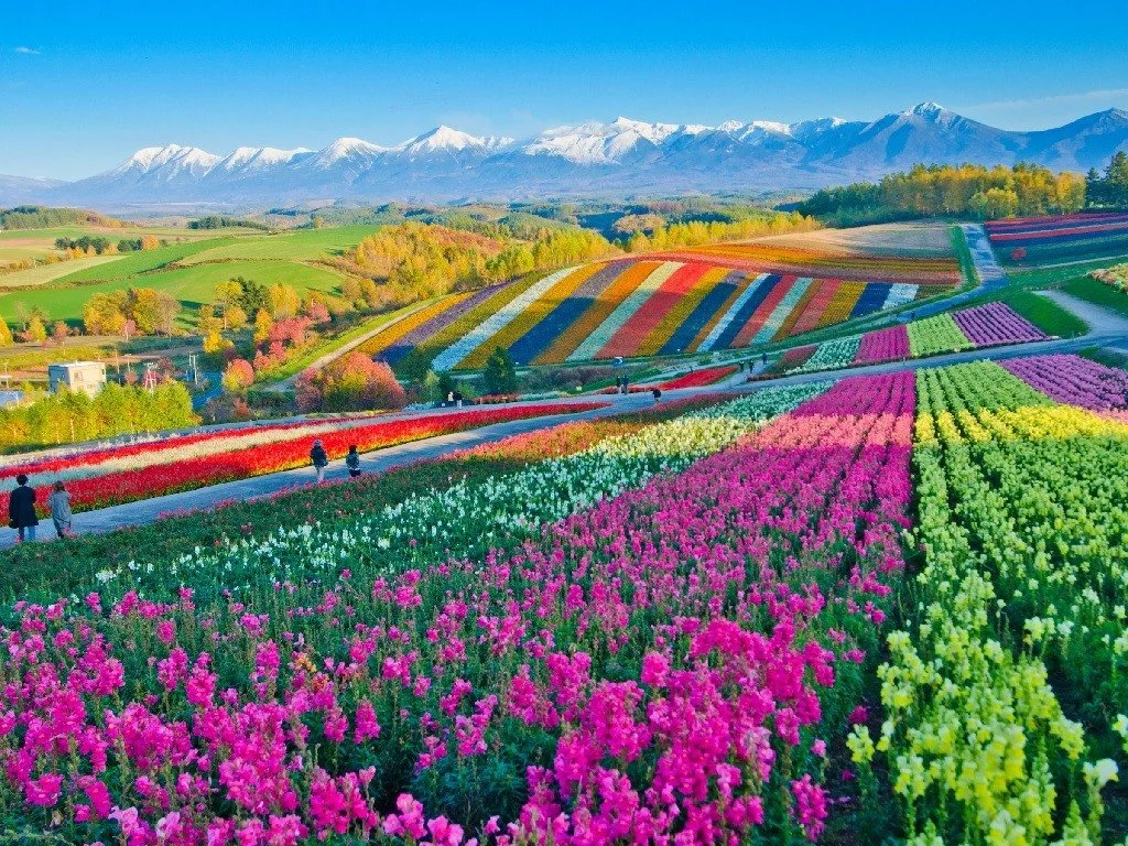 1611602559564.webp