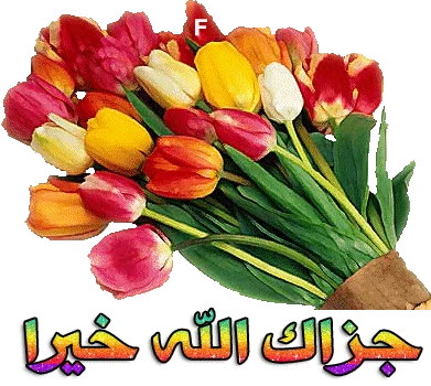 1615888359685.webp