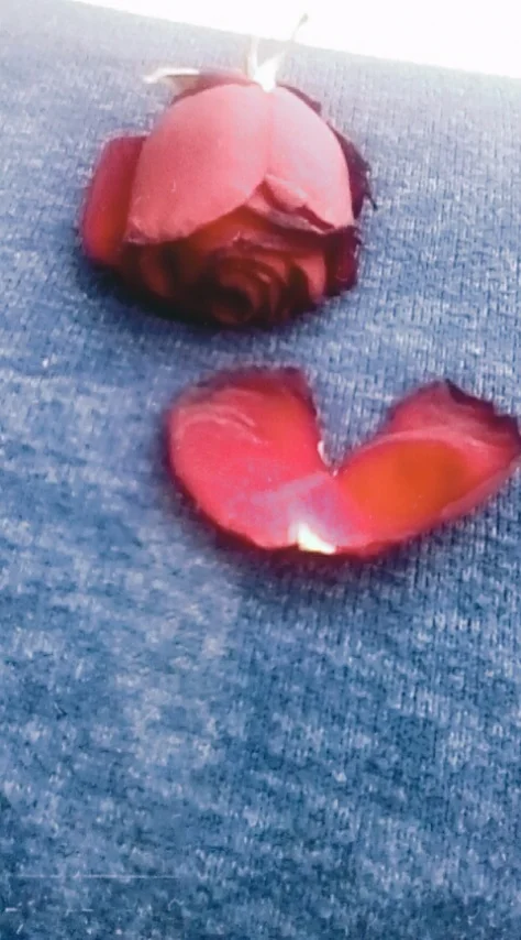 Snapchat-50310419.webp