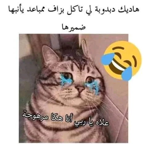 FB_IMG_16202235534312124.jpg