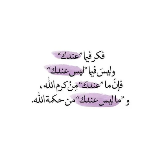 1574519351637.webp