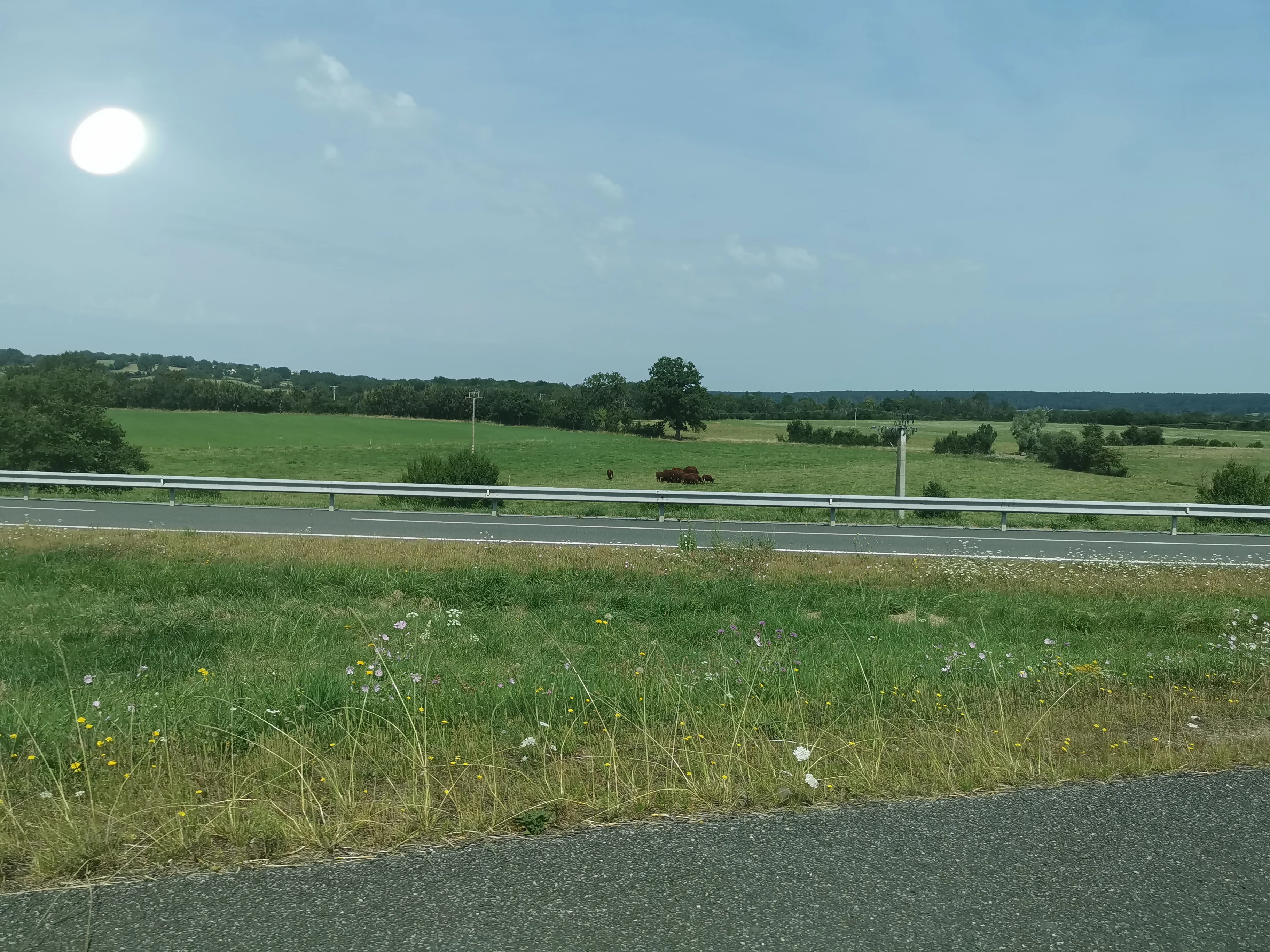 IMG_20210821_124058.webp