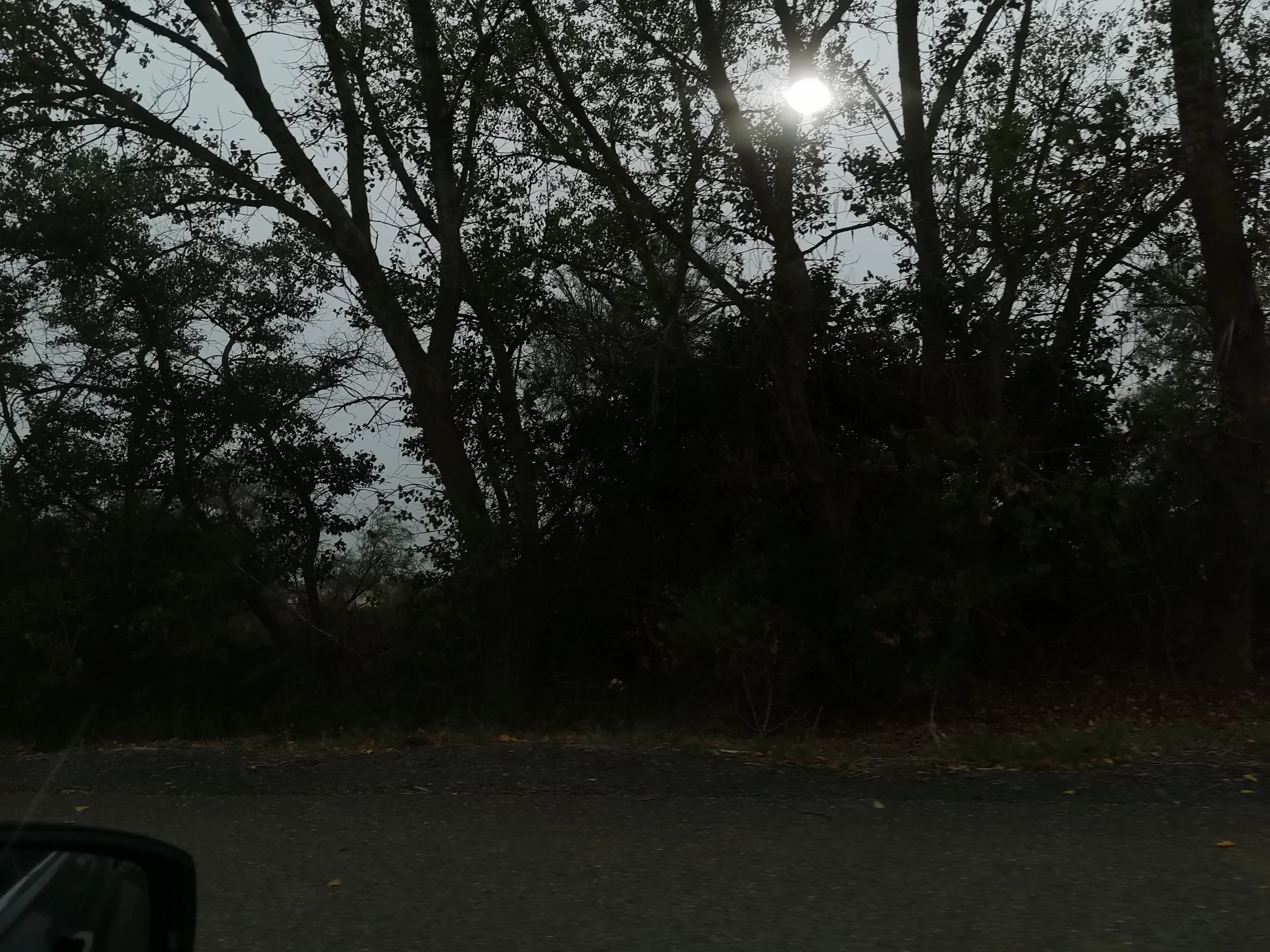IMG_20210821_190520.webp