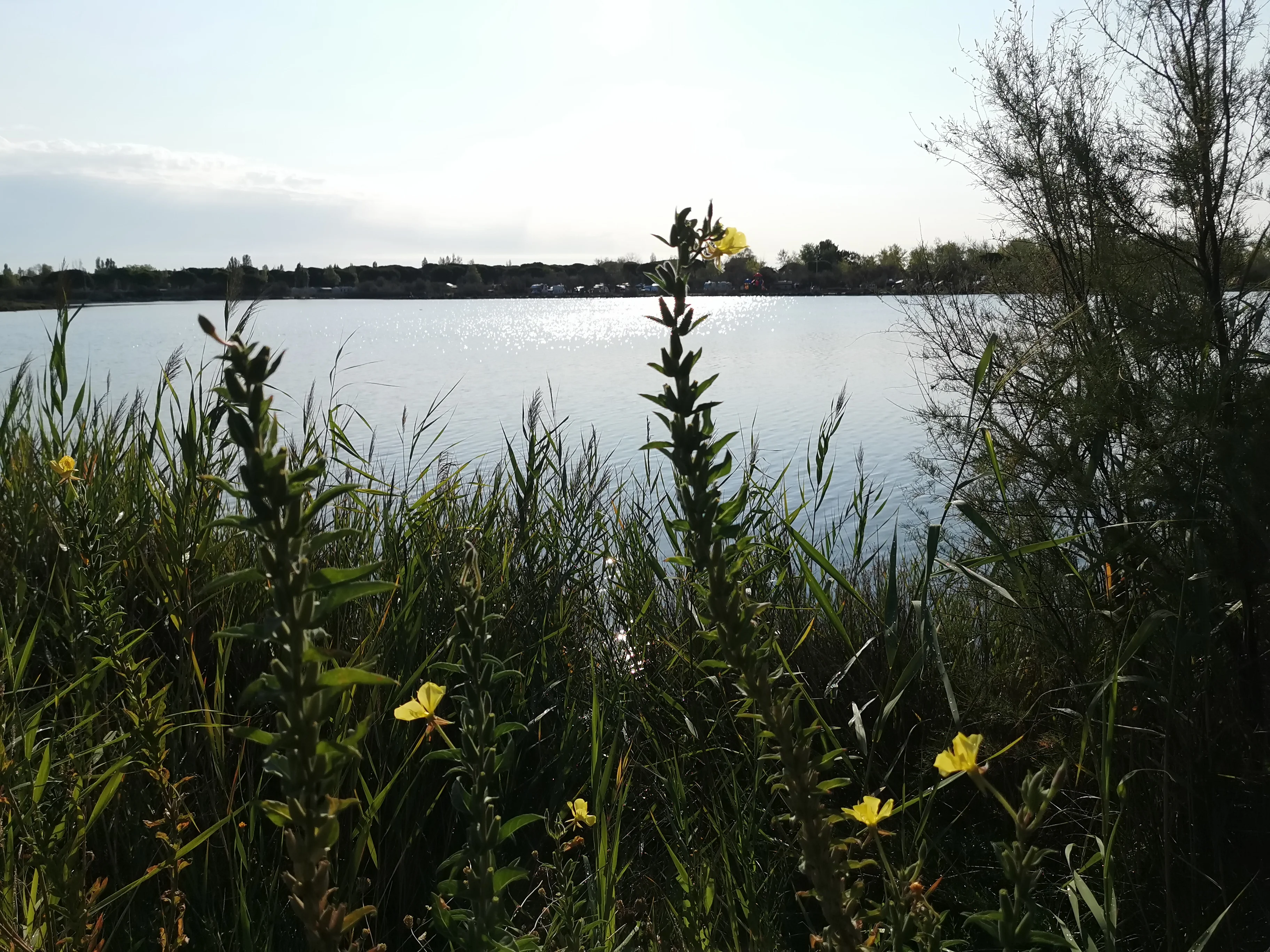 IMG_20210824_090605.webp