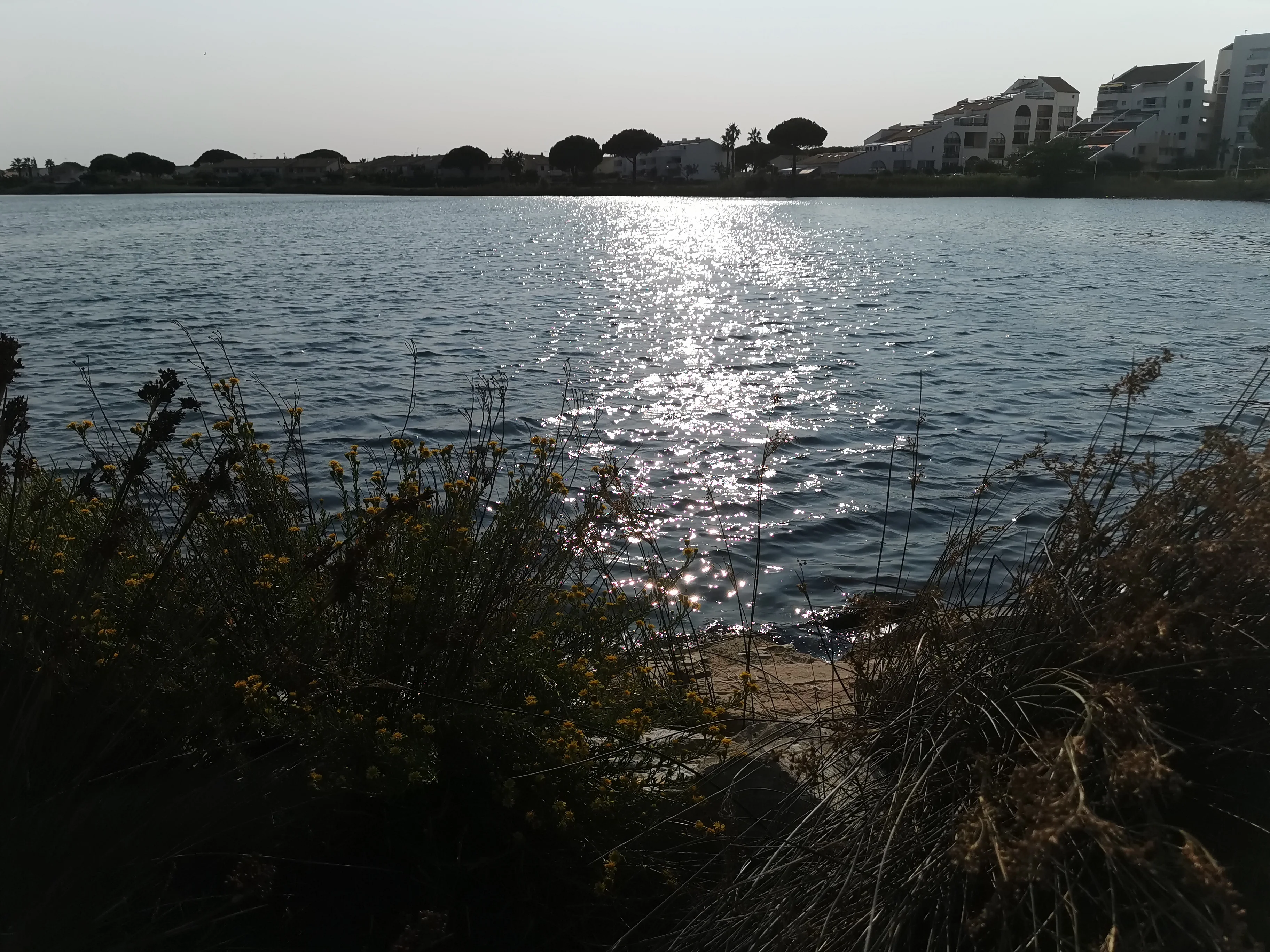 IMG_20210822_180435.webp