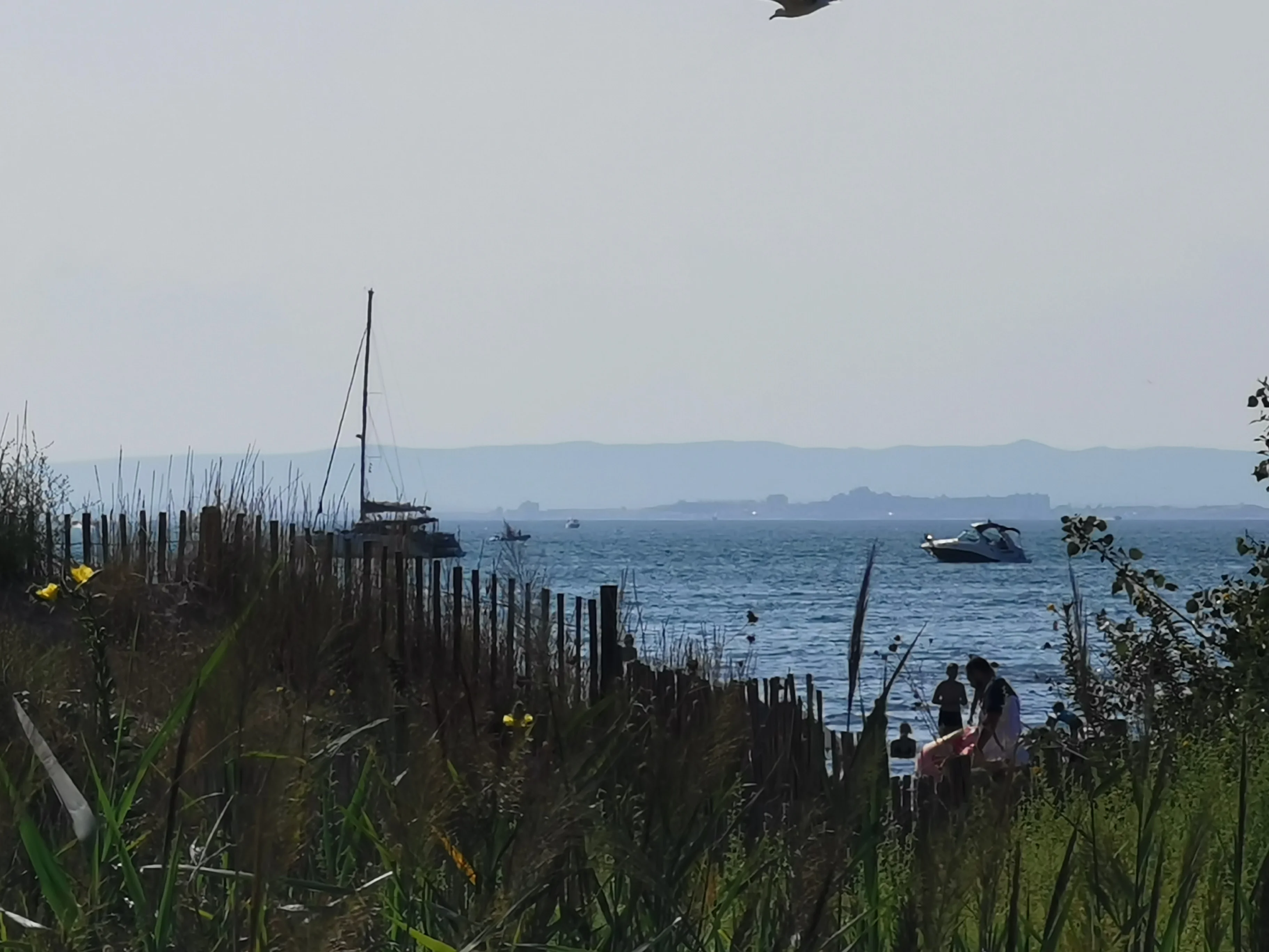 IMG_20210825_170928.webp