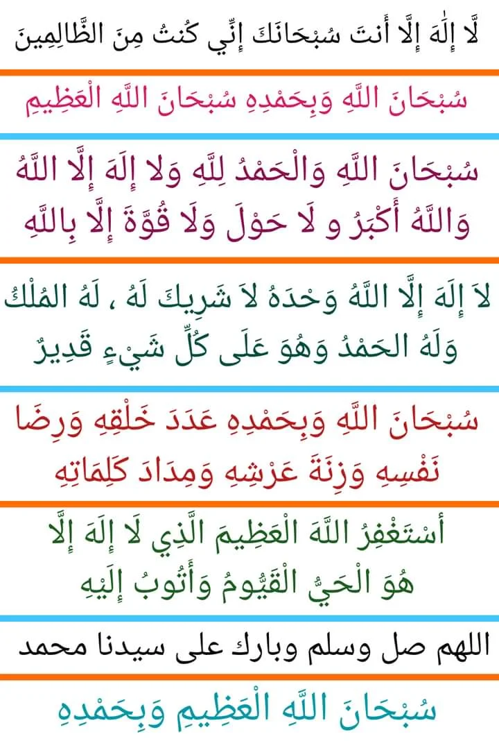 FB_IMG_1633458525953.webp