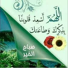 1634634978200.webp