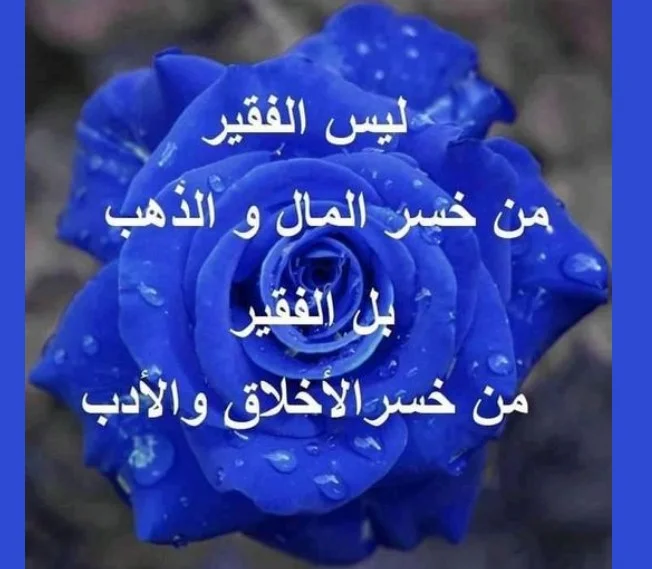 Screenshot_1.webp