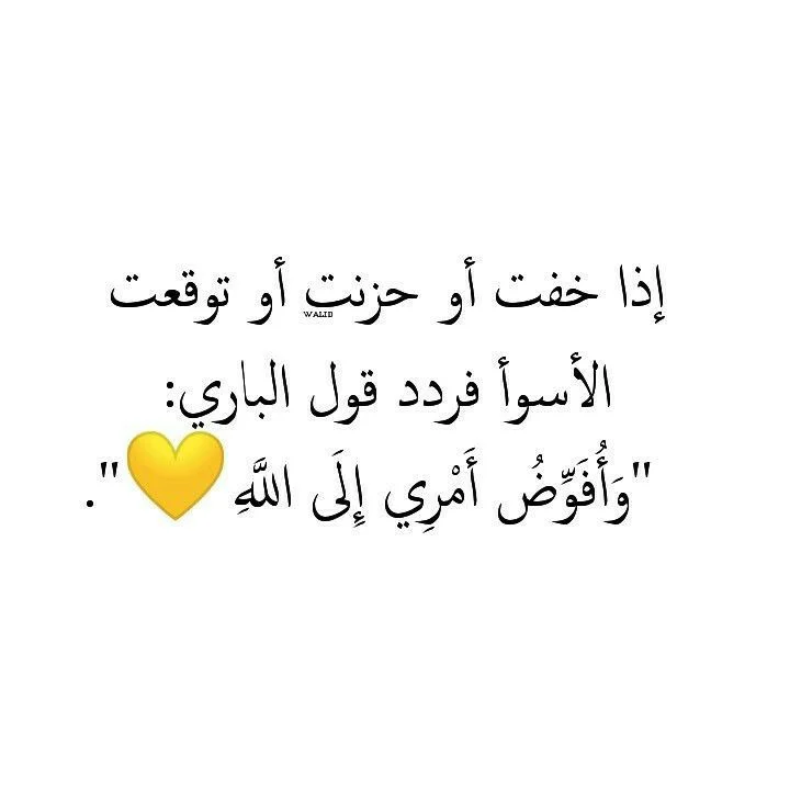 1644426106808.webp