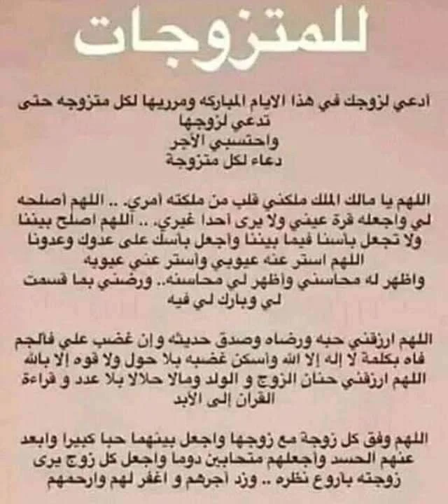 c01defd563b0bb9b1bd8c8f479480d8e.webp