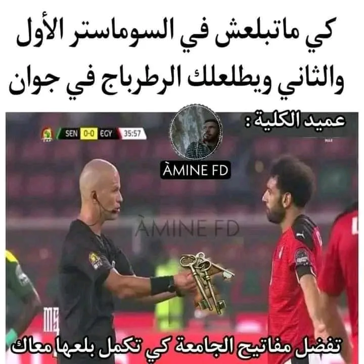 FB_IMG_16533252012272701.webp