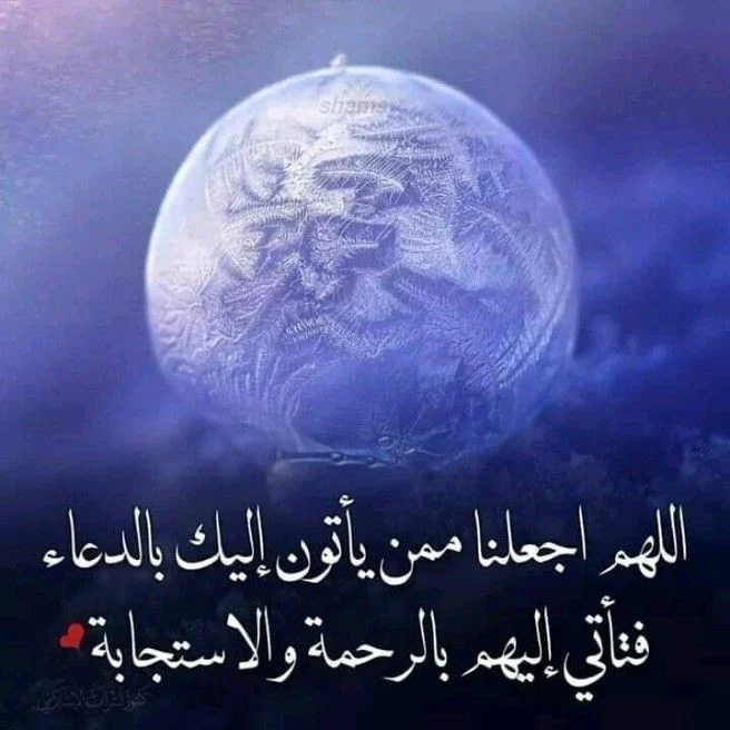 1657788571053.webp