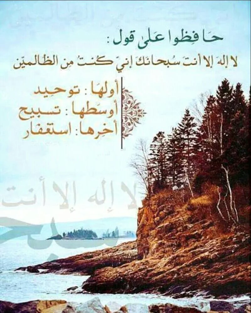 1658050065223.webp