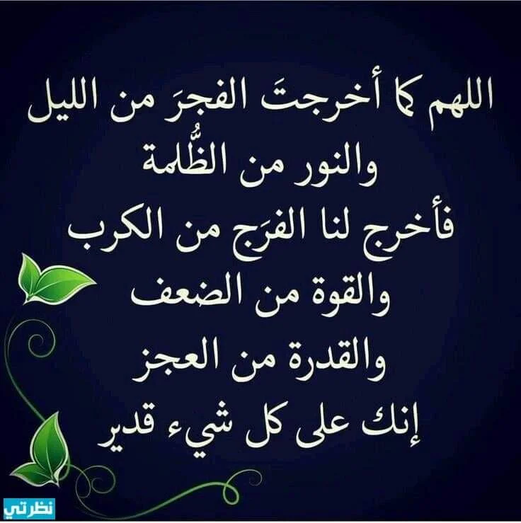 received_3242161172720031.webp