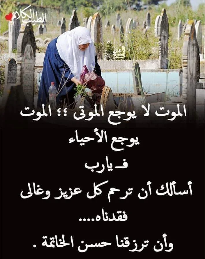 1661016407647.webp