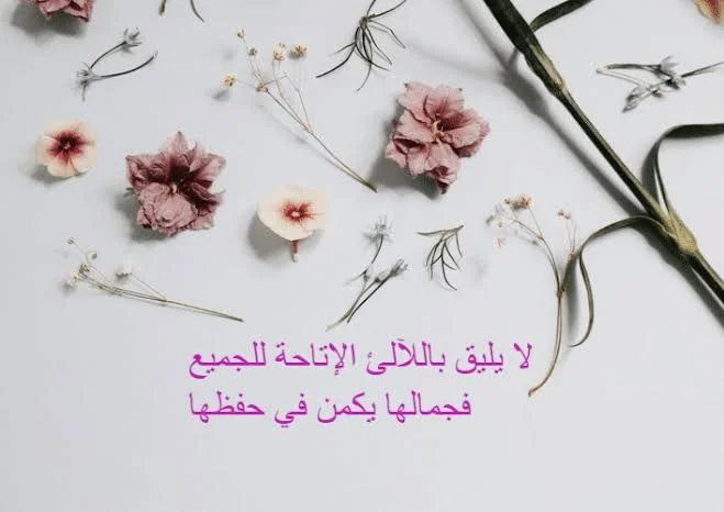images - 2022-09-22T084731.431.webp