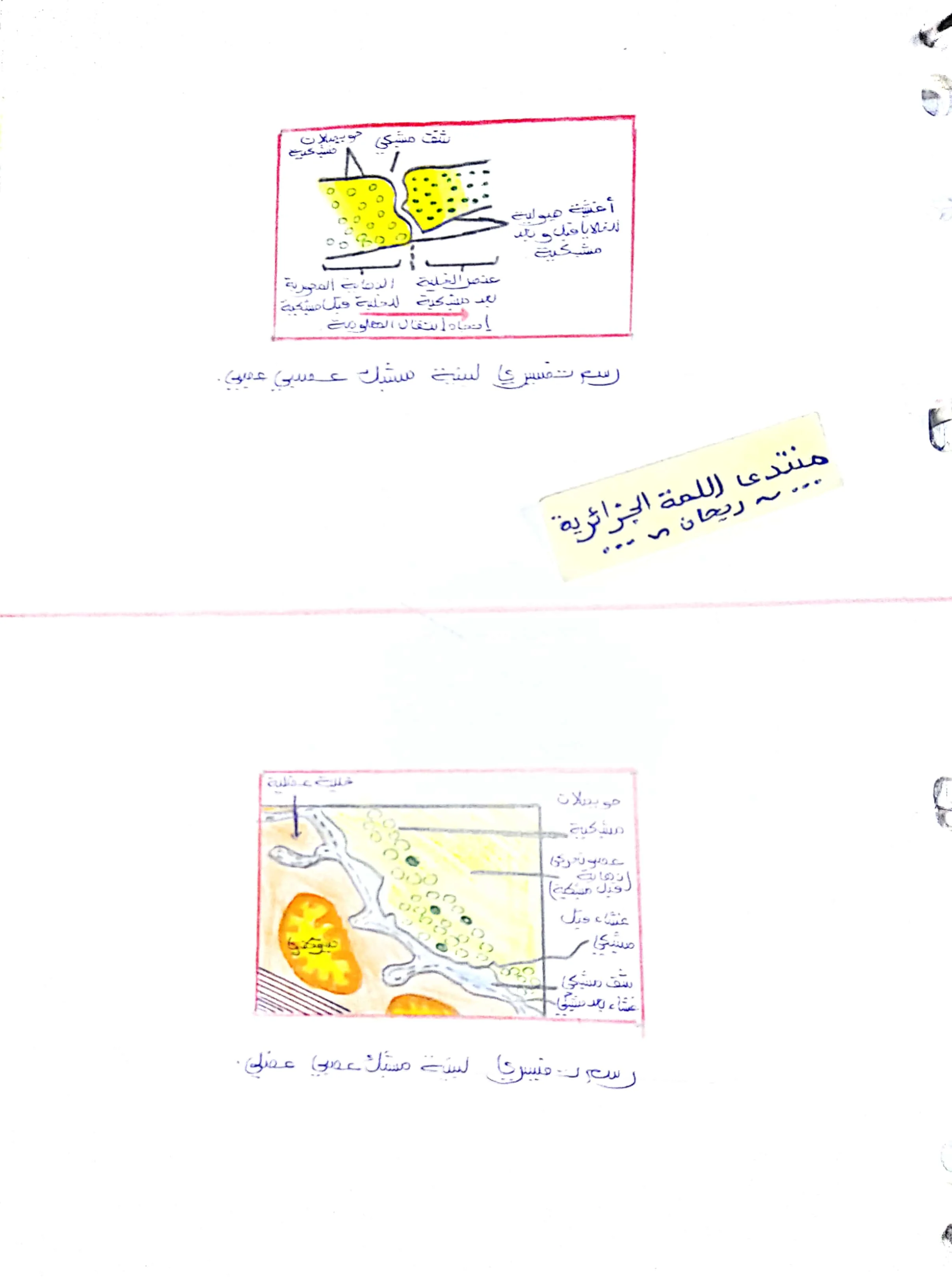 CamScanner 10-11-2022 08.53_2.webp