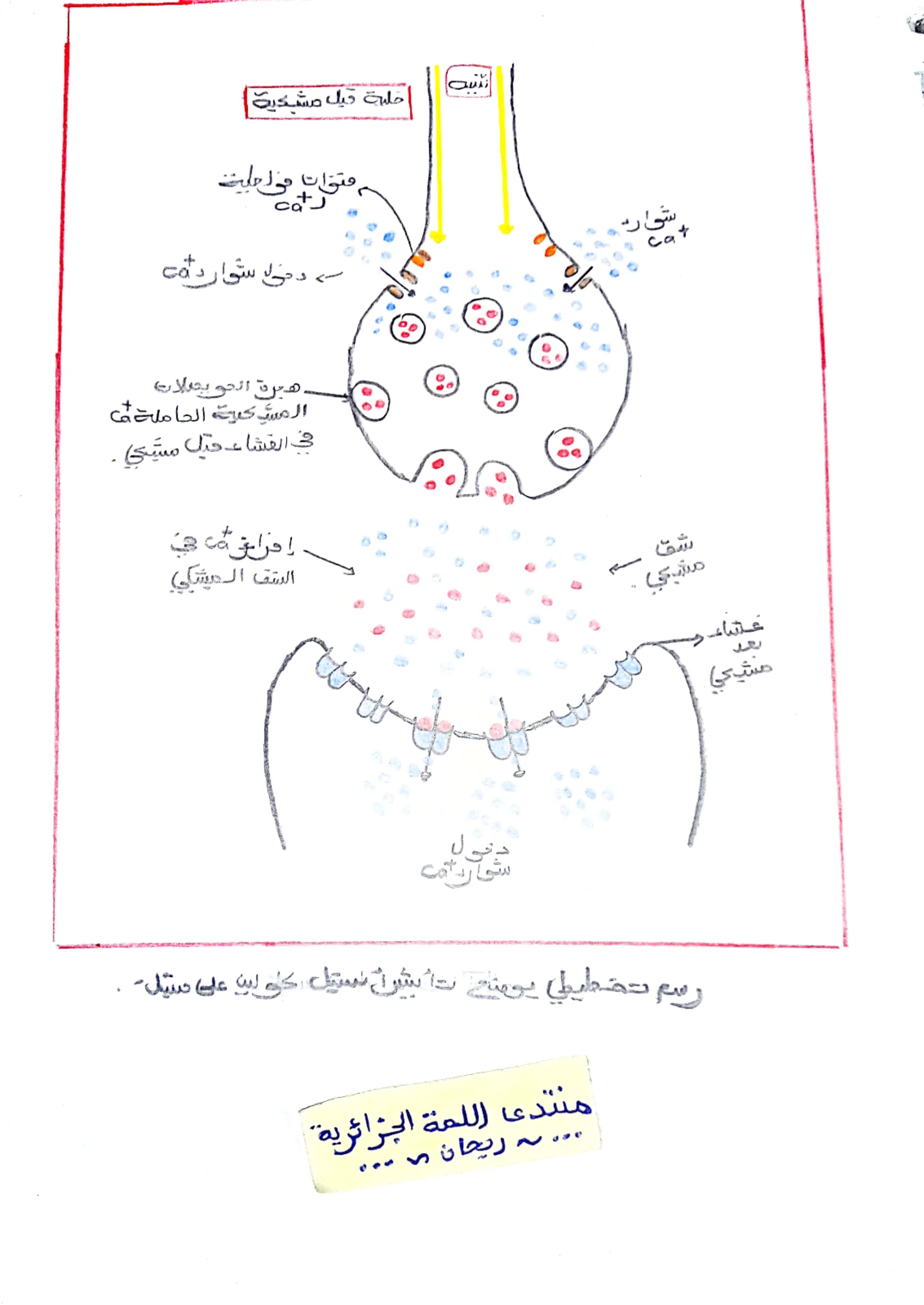 CamScanner 10-11-2022 08.53_5.webp