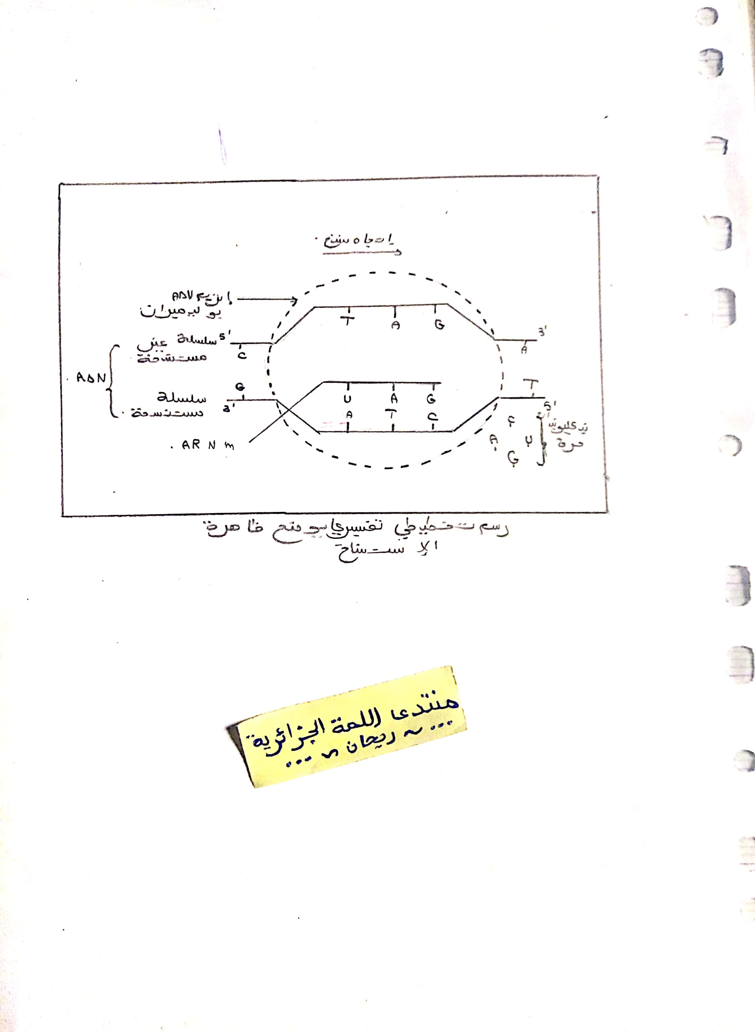 CamScanner 10-13-2022 14.54_4.webp