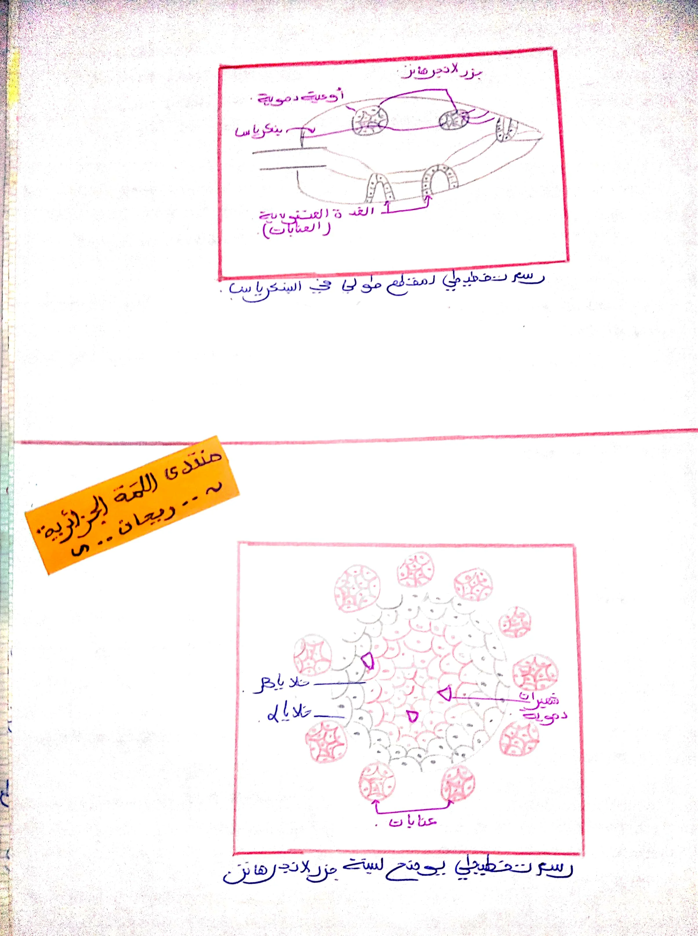 CamScanner 10-18-2022 21.23.jpg