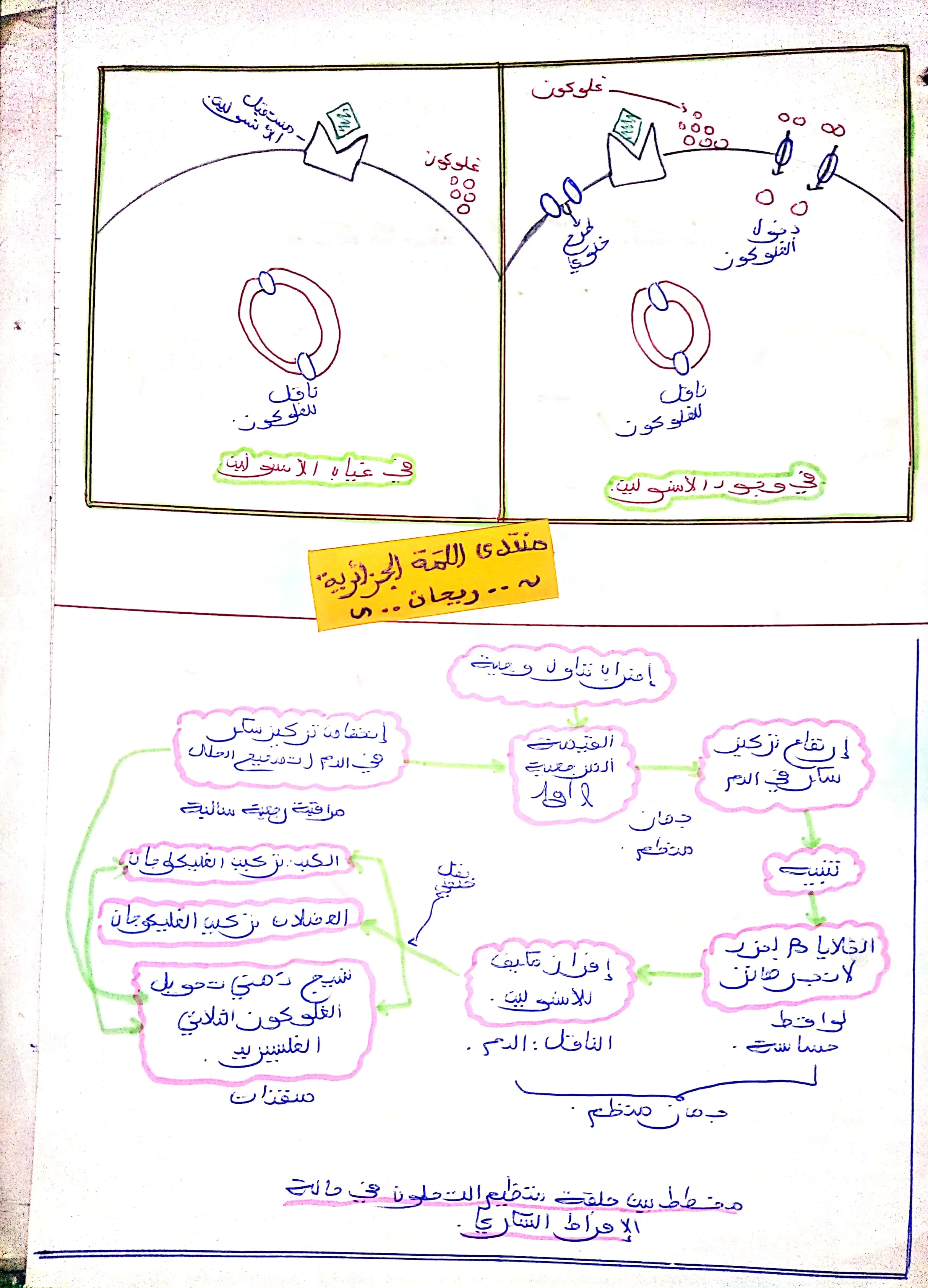 CamScanner 10-19-2022 13.32_4.webp