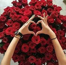 تنزيل (1).webp