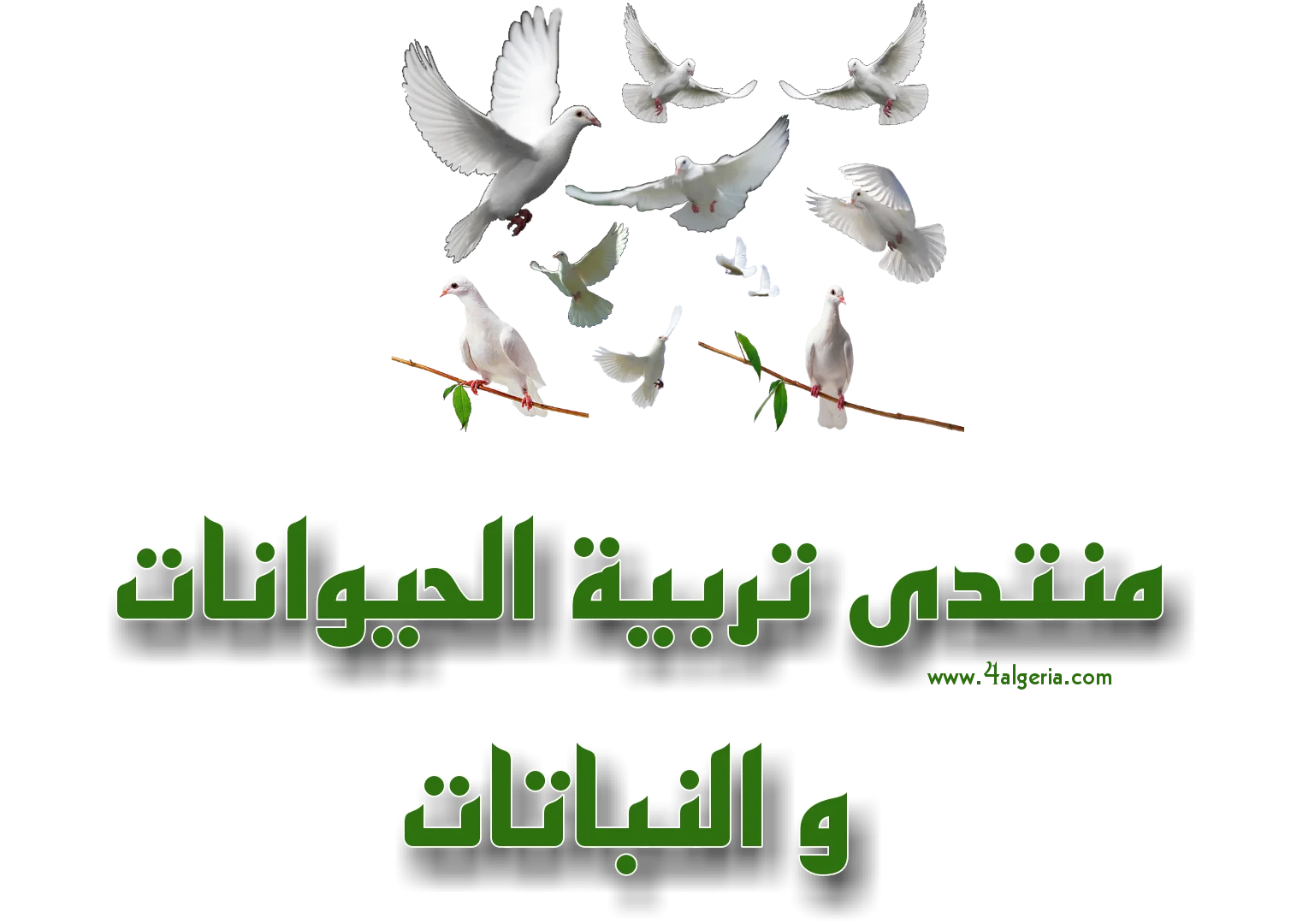 Picsart_22-10-21_15-14-30-475.png
