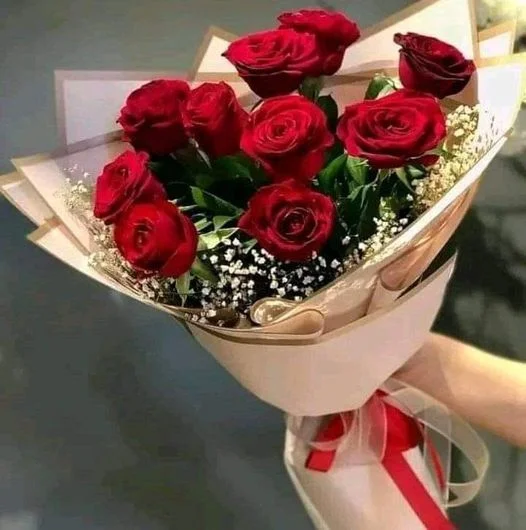 1666857530763.webp
