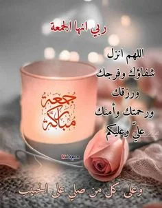 1668165008548.webp