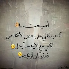 1668255564422.webp