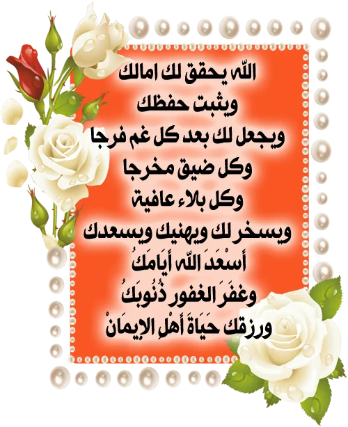 1668328840555.webp