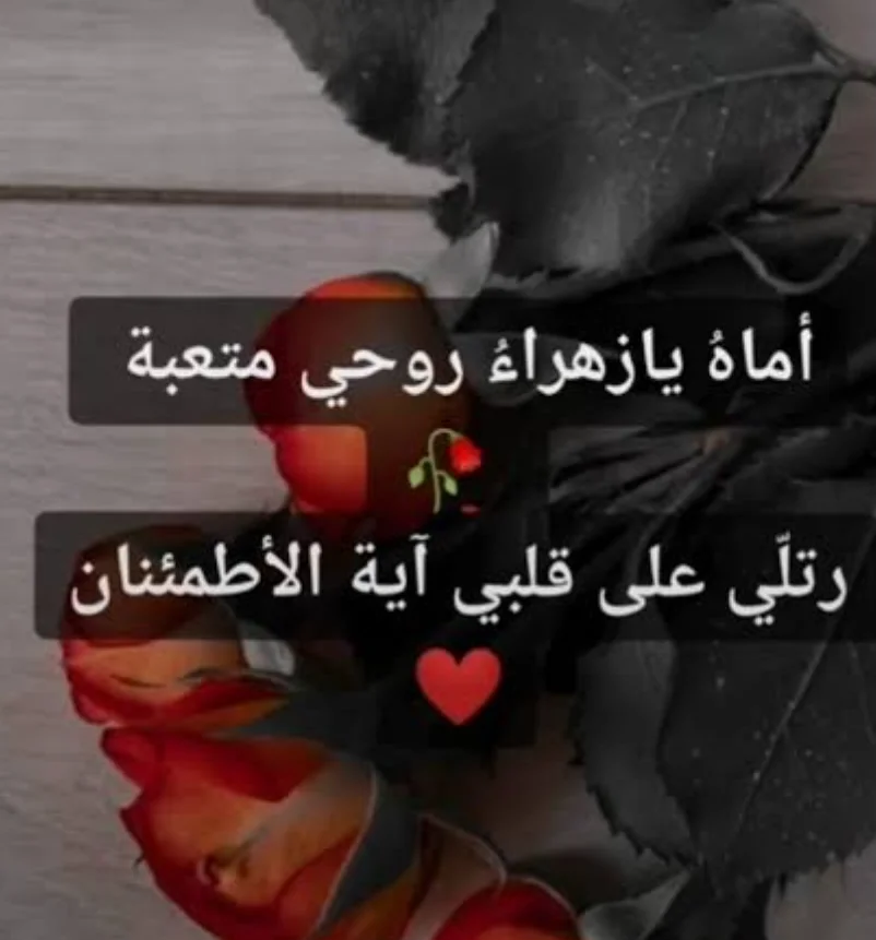 Screenshot_2022-11-13-22-06-53.webp