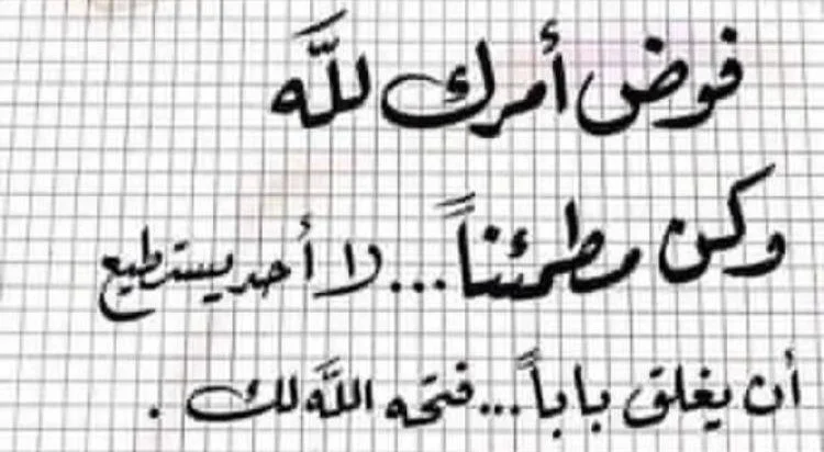 1668932151559.webp