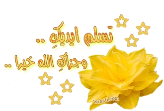 1668932491808.webp