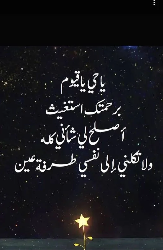 1669210574551.webp