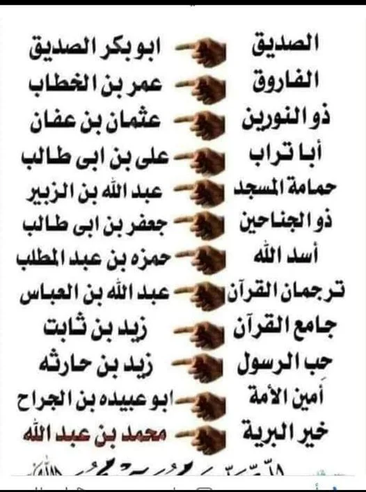 1670143175249.webp
