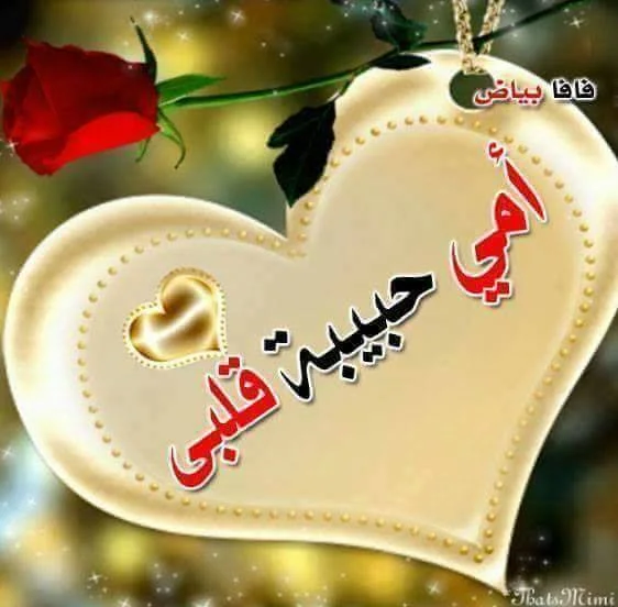 1670159331306.webp