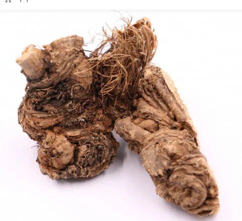 1672249626242.png 1672249626242.png