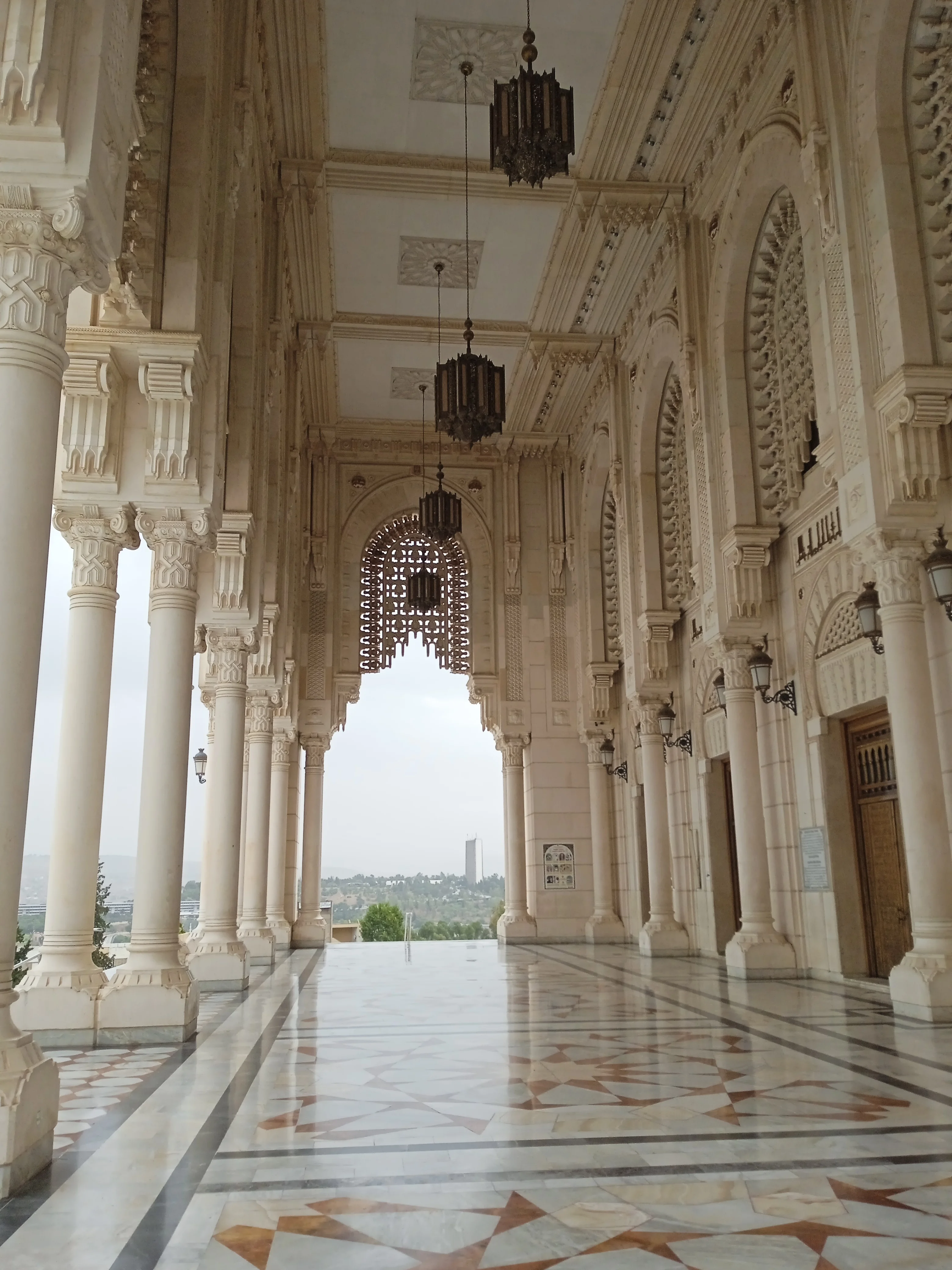 IMG_20230920_103840.jpg IMG_20230920_103840.jpg