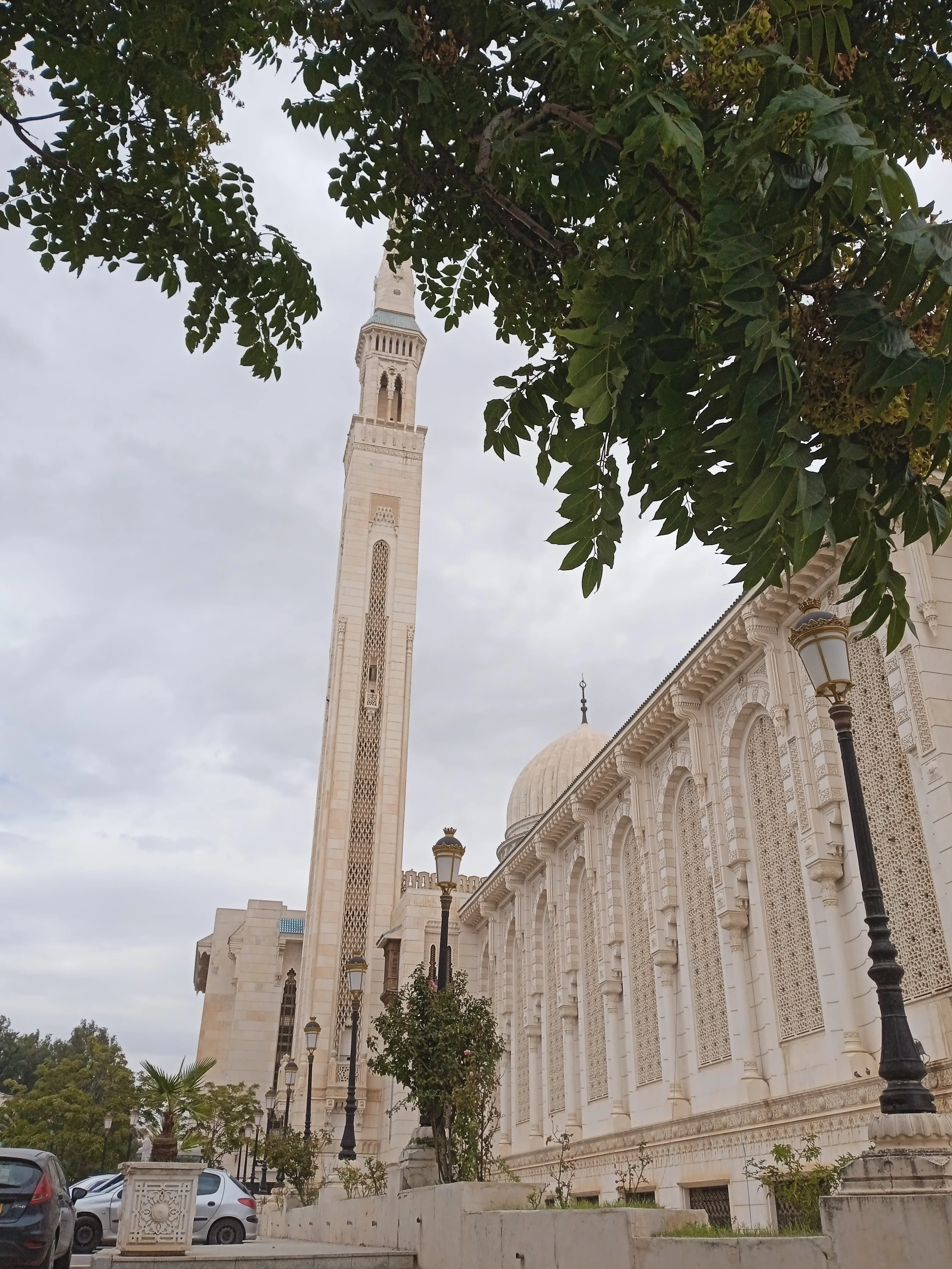 IMG_20230920_102704_1.jpg IMG_20230920_102704_1.jpg