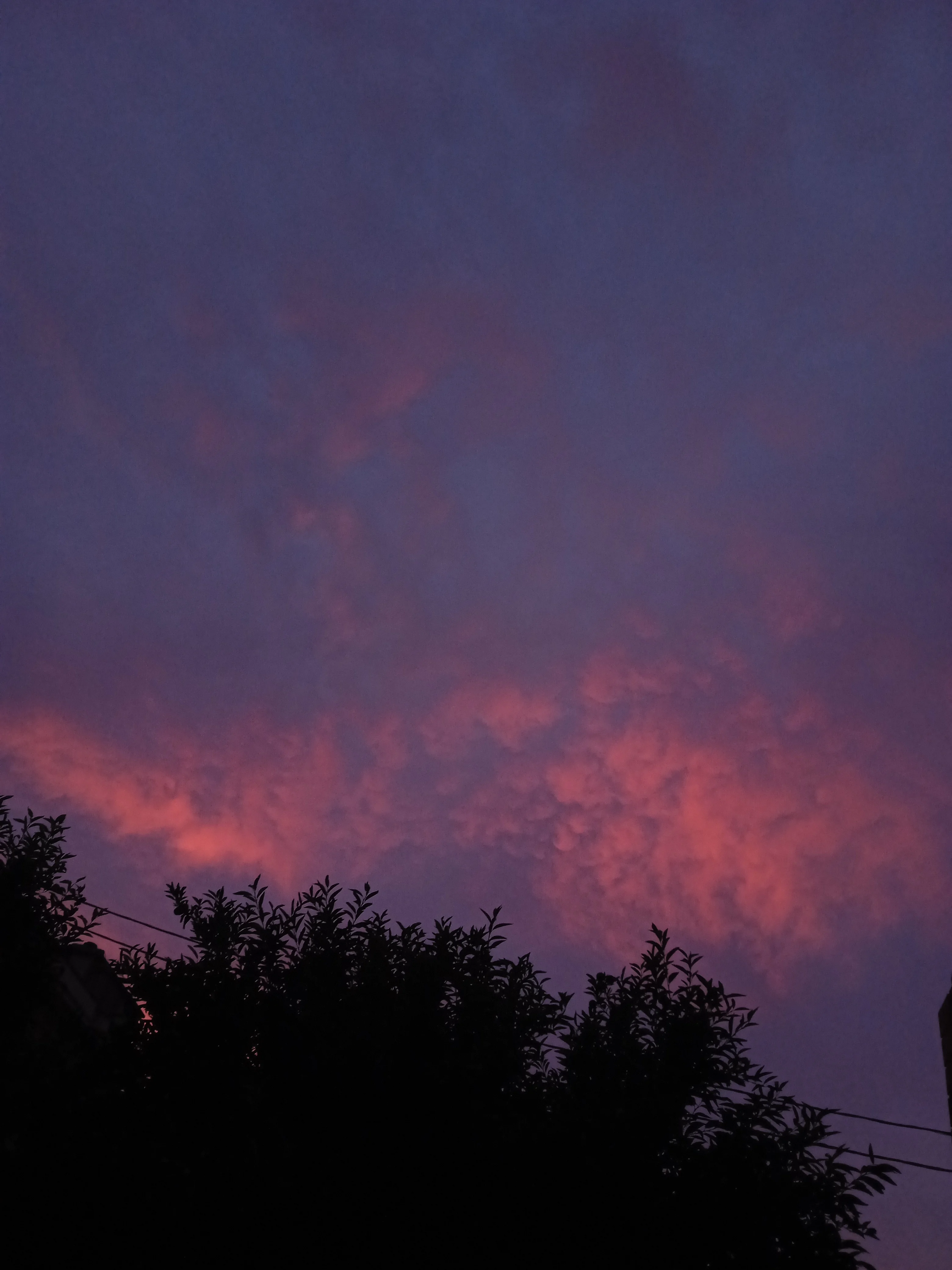 IMG_20230922_184406.webp IMG_20230922_184406.webp