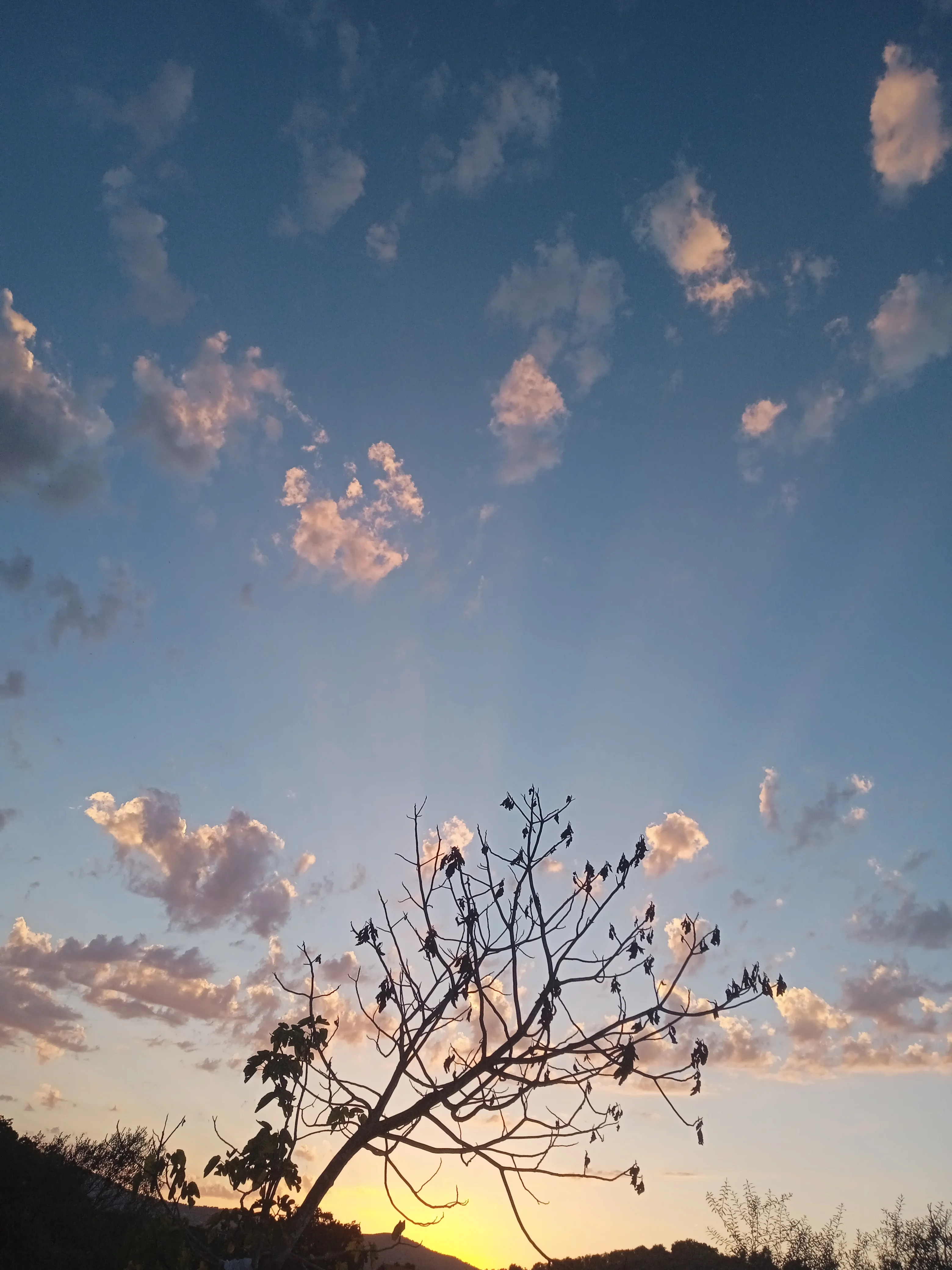 IMG_20230704_195323.webp IMG_20230704_195323.webp