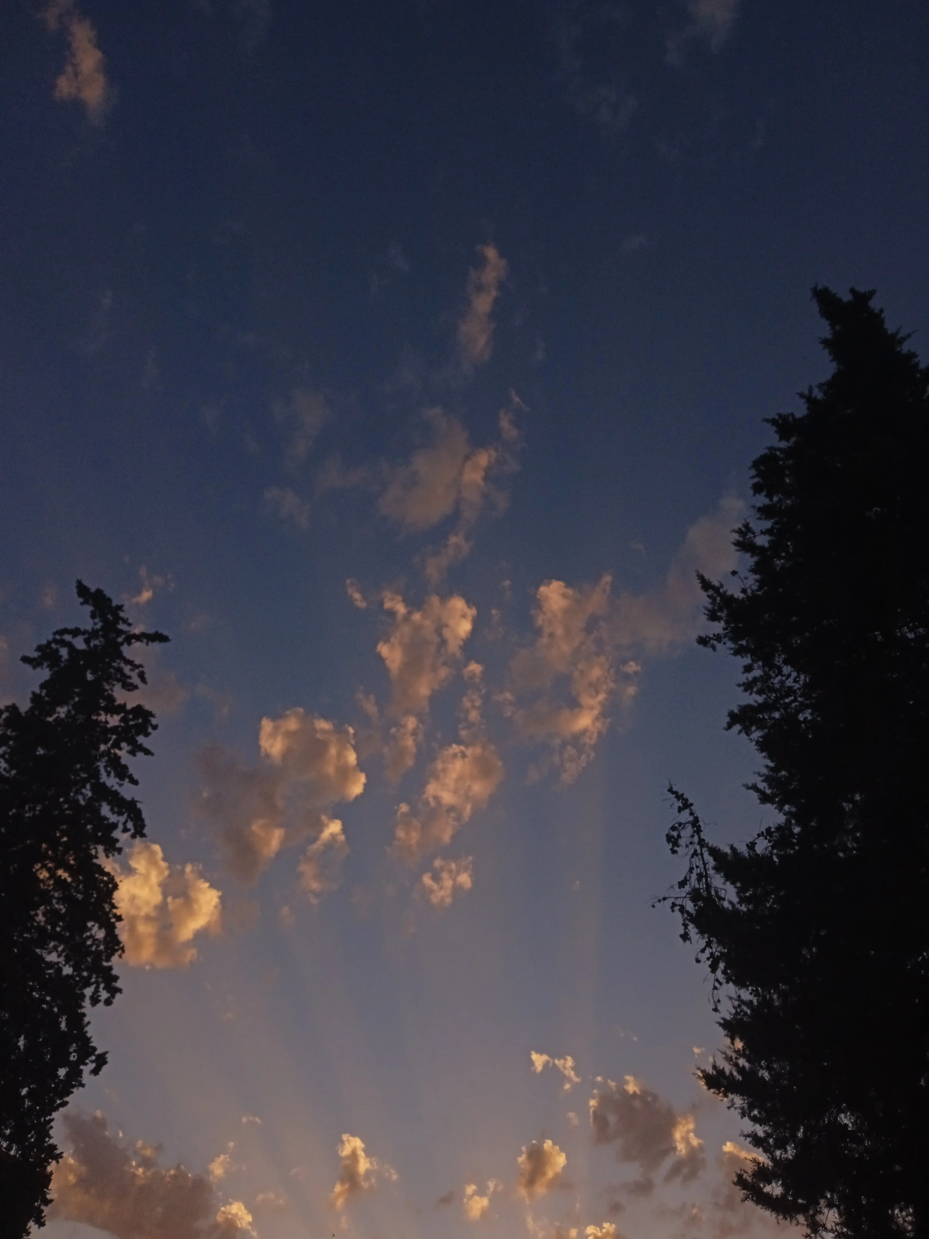 IMG_20230704_194935.webp IMG_20230704_194935.webp