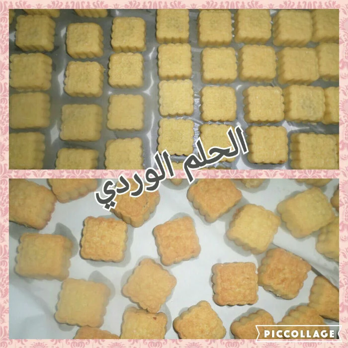 Collage ٢٠١٦-١٠-٢١ ٢٠_٤١_٣٣.webp