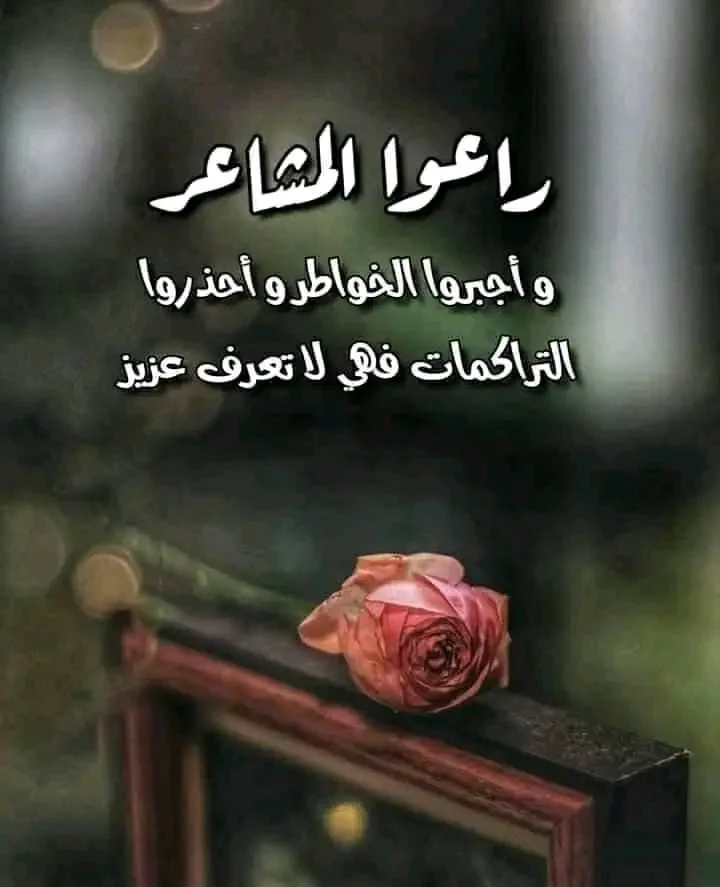 1706786448248.webp