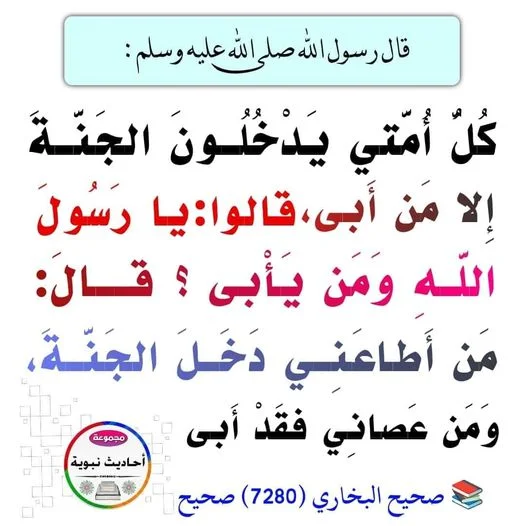 434726328_1617344179066721_8839447016142828646_n.webp