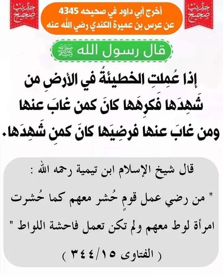 1699506145621.webp